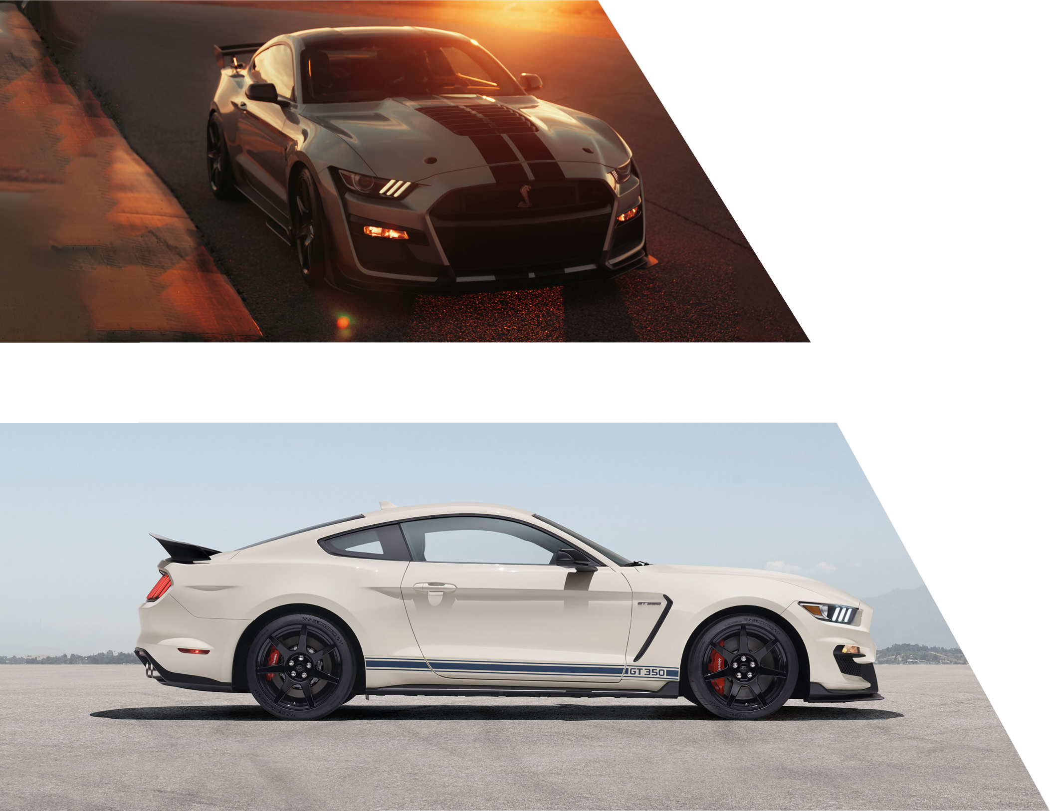 forza shelby mustangs